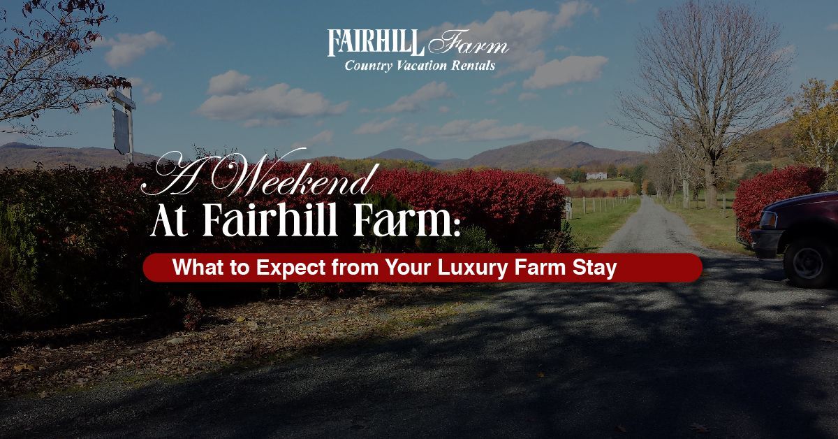 Luxury Farm Stays