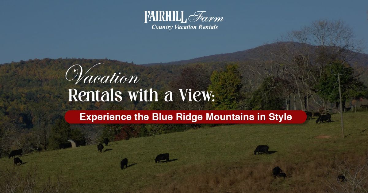Vacation Rentals