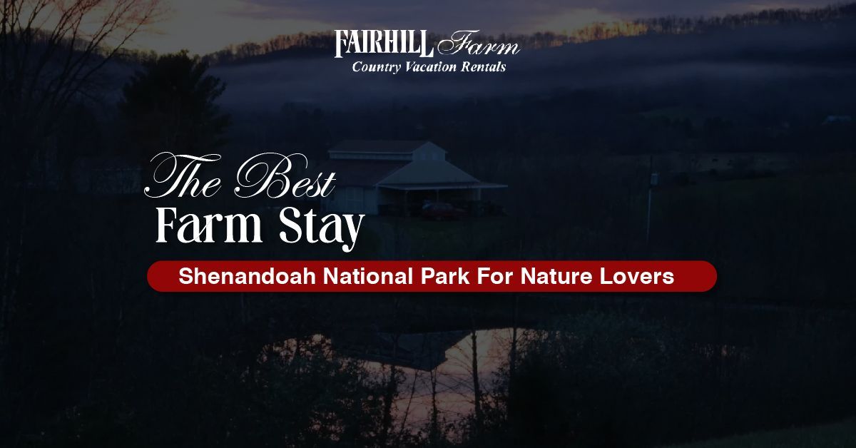 The best stay