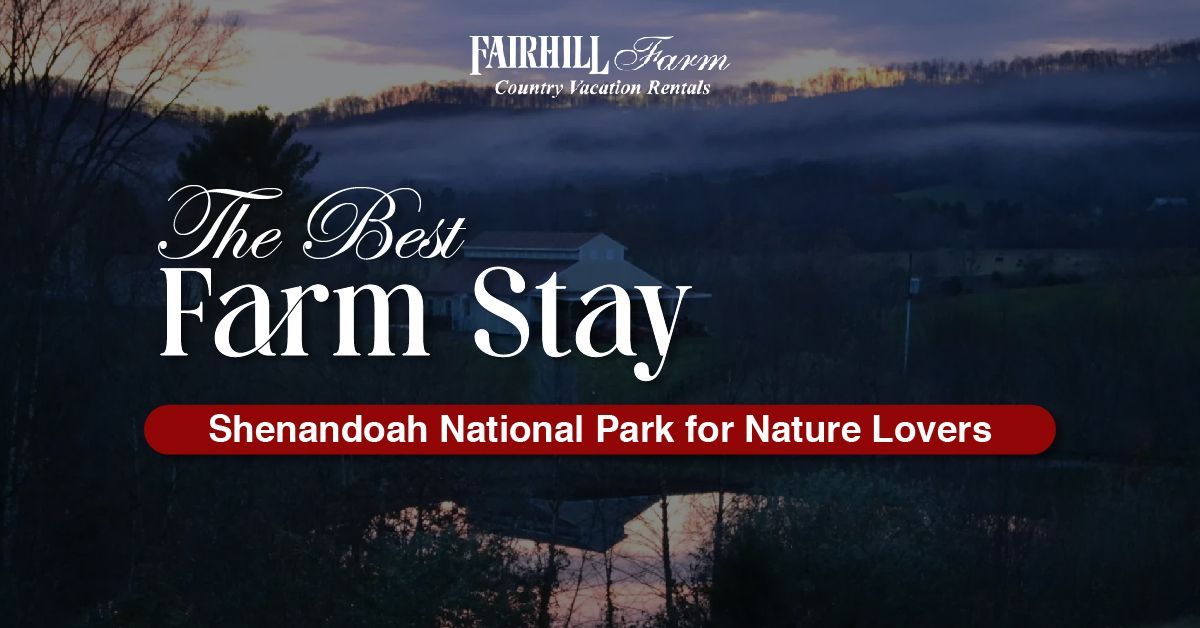 The best stay