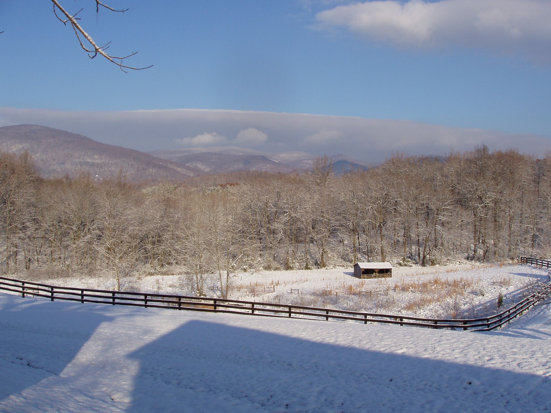 A snowy field with a fence and trees in the background