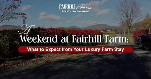 Luxury Farm Stays