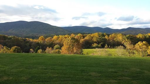 Best Airbnbs Near Shenandoah National Park
