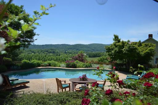 Best Airbnbs Near Shenandoah National Park