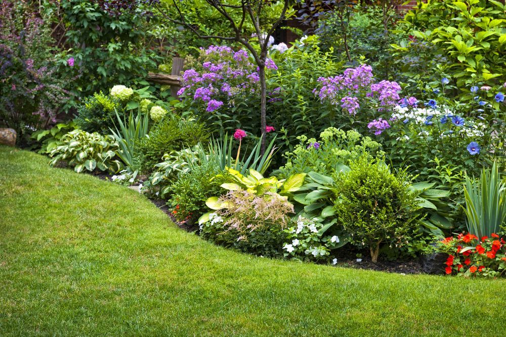 Landscape Design & Lawn Care | Anchor Lawn Care | Tampa Bay