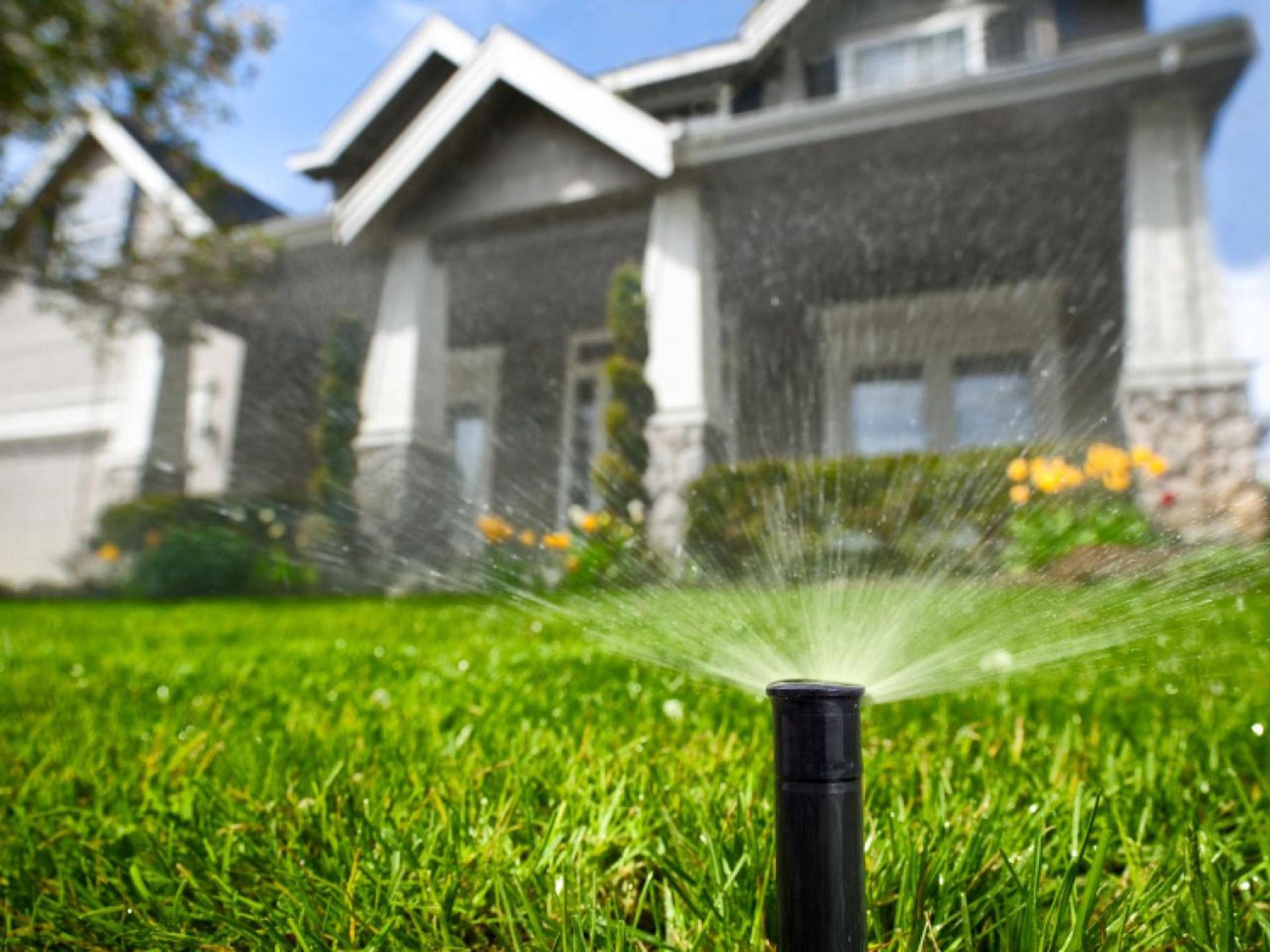 A sprinkler is spraying water on a lush green lawn in front of a house.