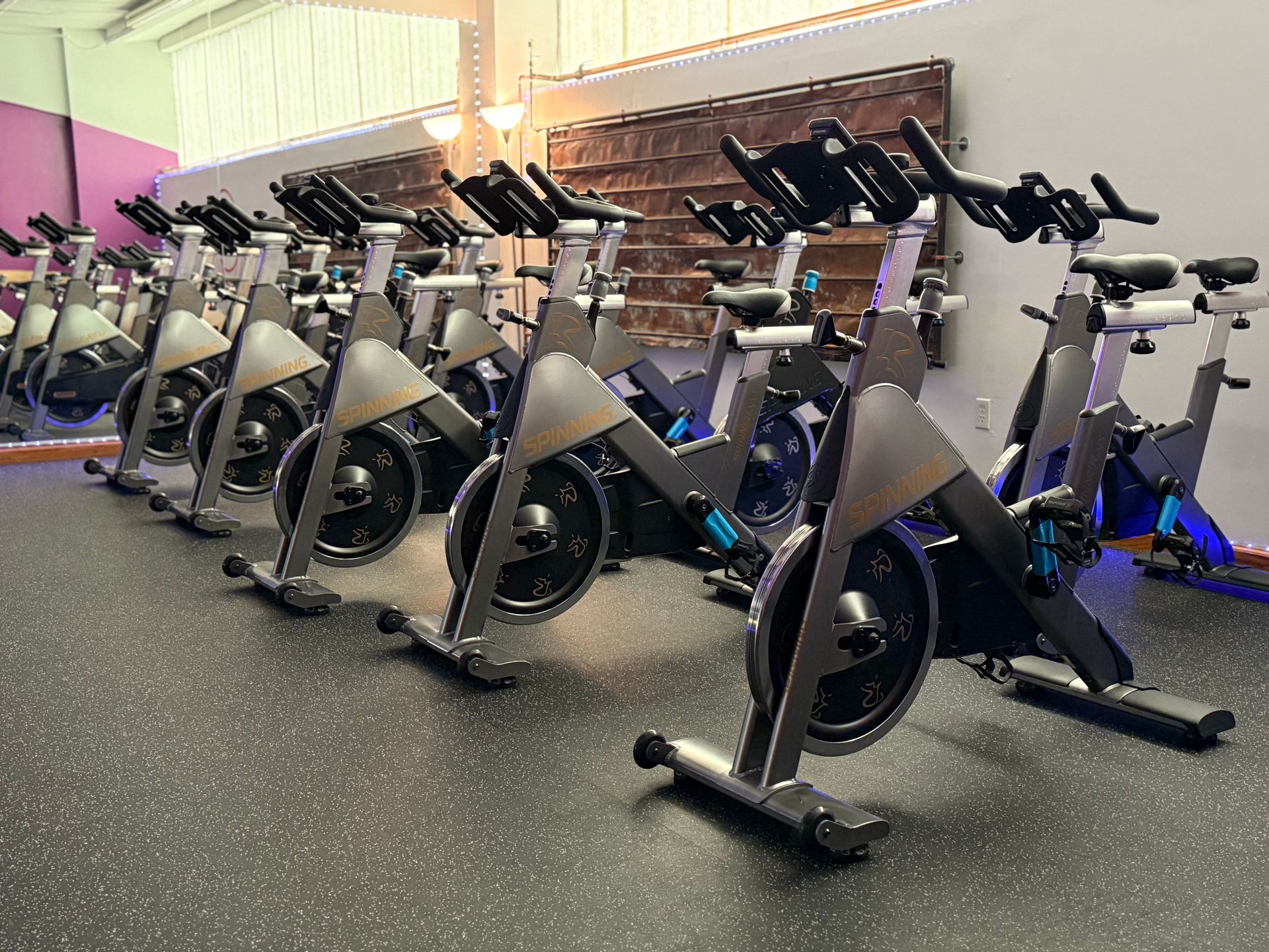 A row of exercise bikes are lined up in a room with a wall that says Lauren Trippoo Fitness.