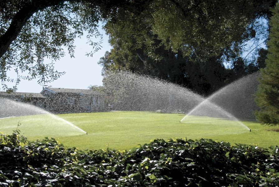 Gli irrigatori spruzzano acqua su un campo verde lussureggiante