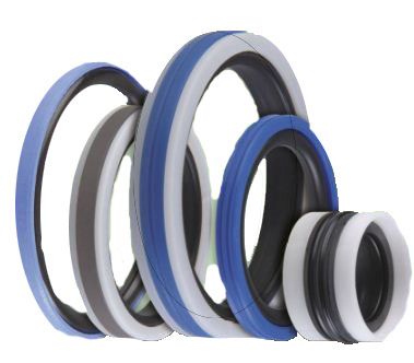 Un gruppo di foche sono accatastate una sopra l'altra