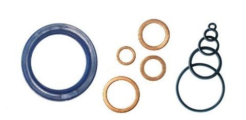 Esistono molti tipi diversi di O-ring su sfondo bianco.