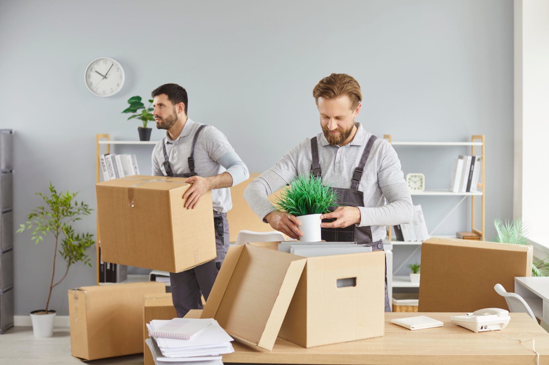 Two movers packing boxes, one holding a plant, in an office with a clock and shelves.