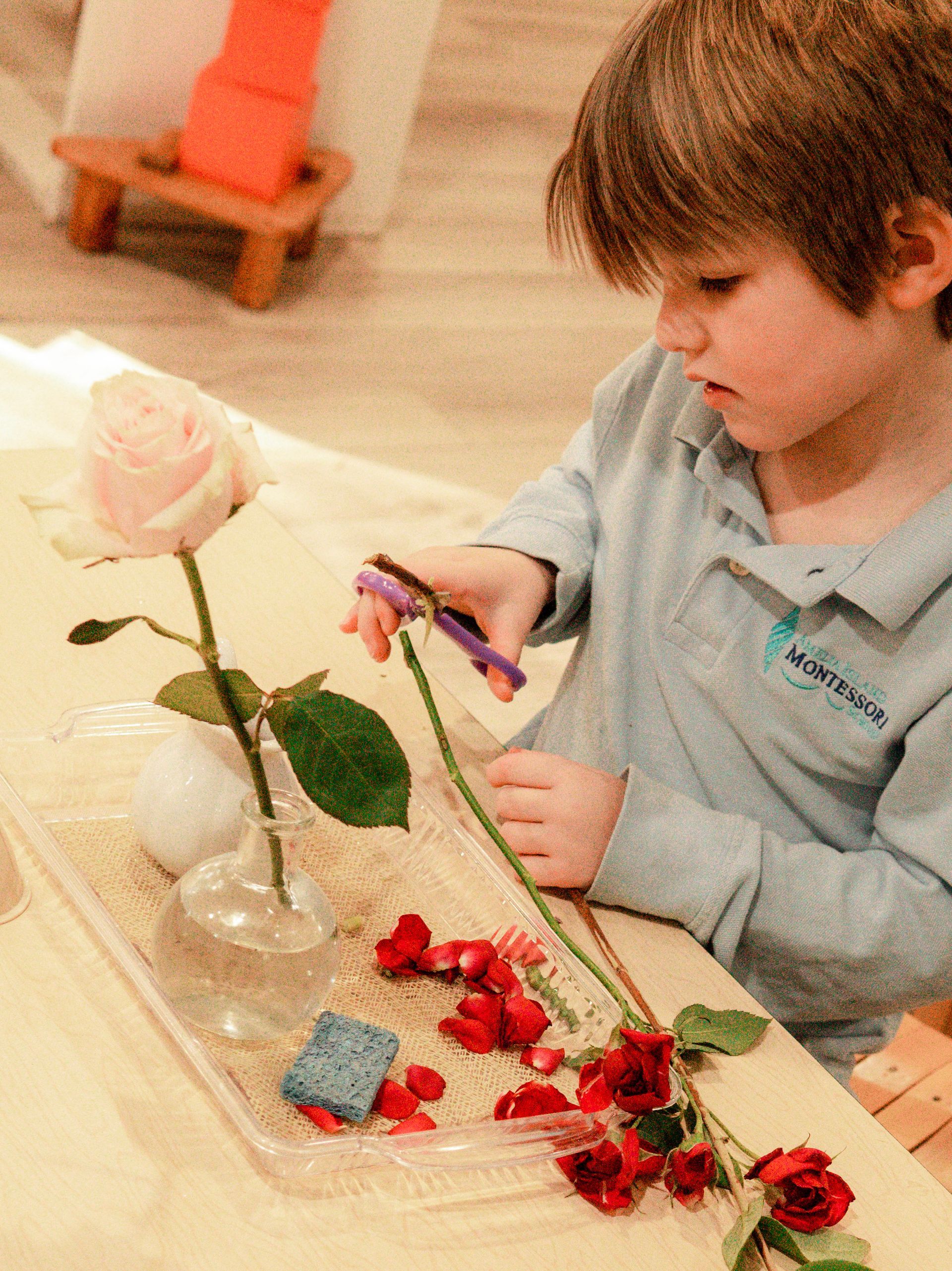 Montessori primary student cutting flowers