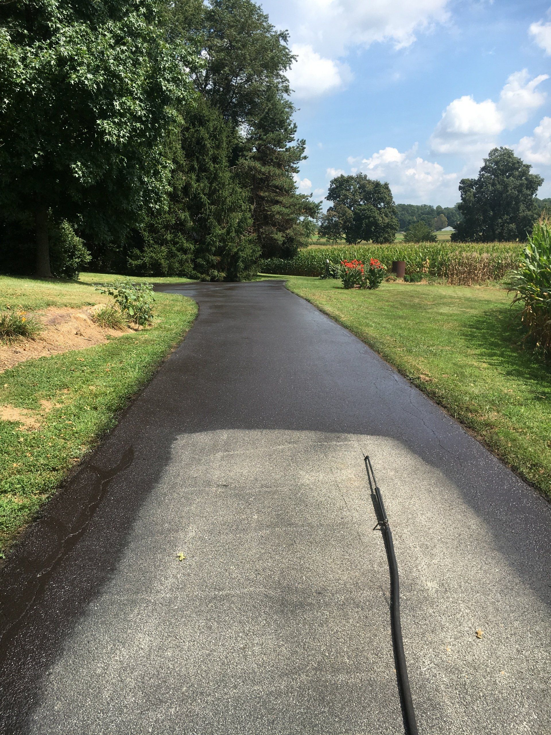 Black asphalt driveway being pressure washed, bordered by green grass and trees on a sunny day.