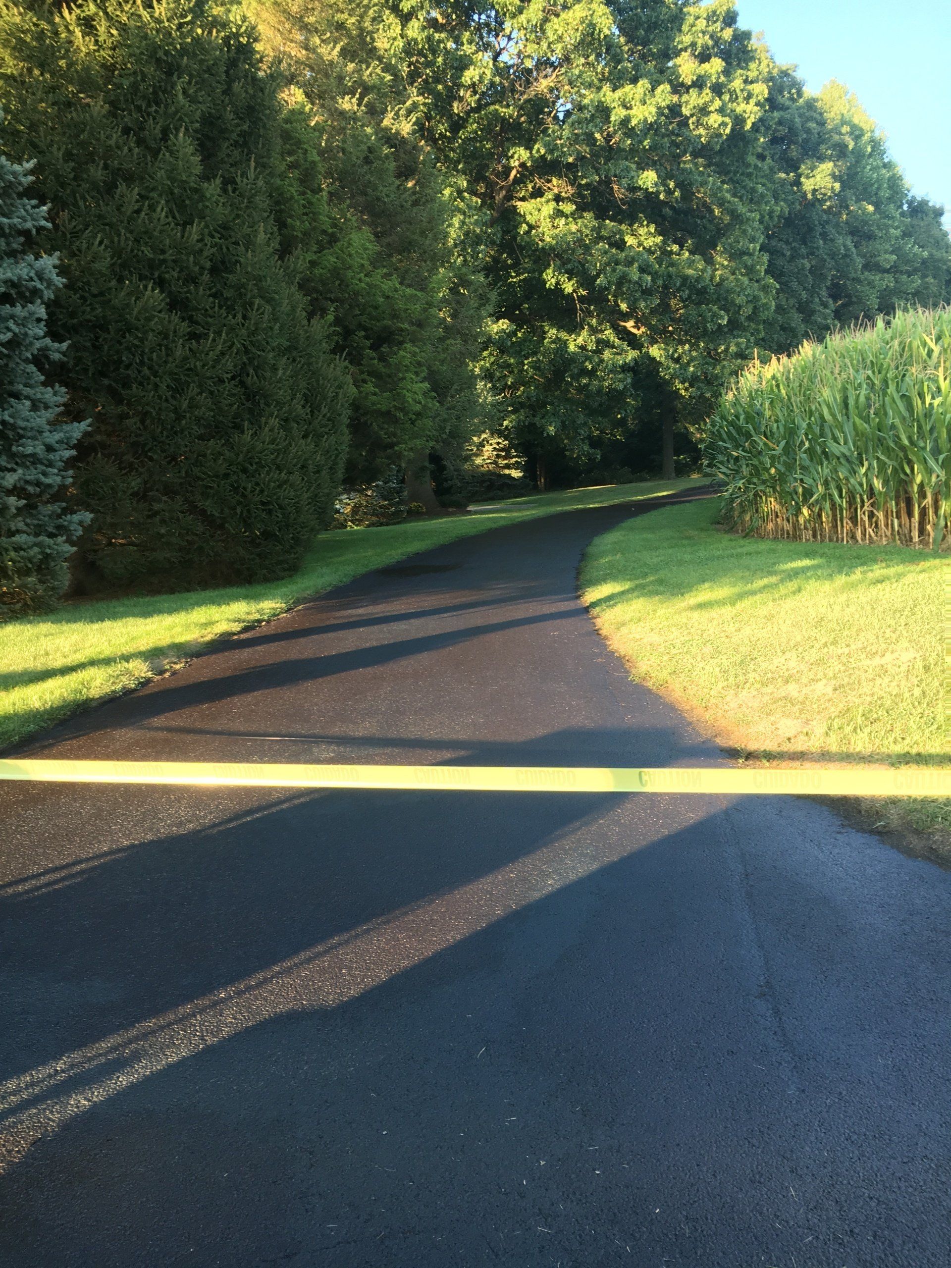 Black asphalt driveway curves uphill through trees and grass. A strip of yellow tape is in the foreground.