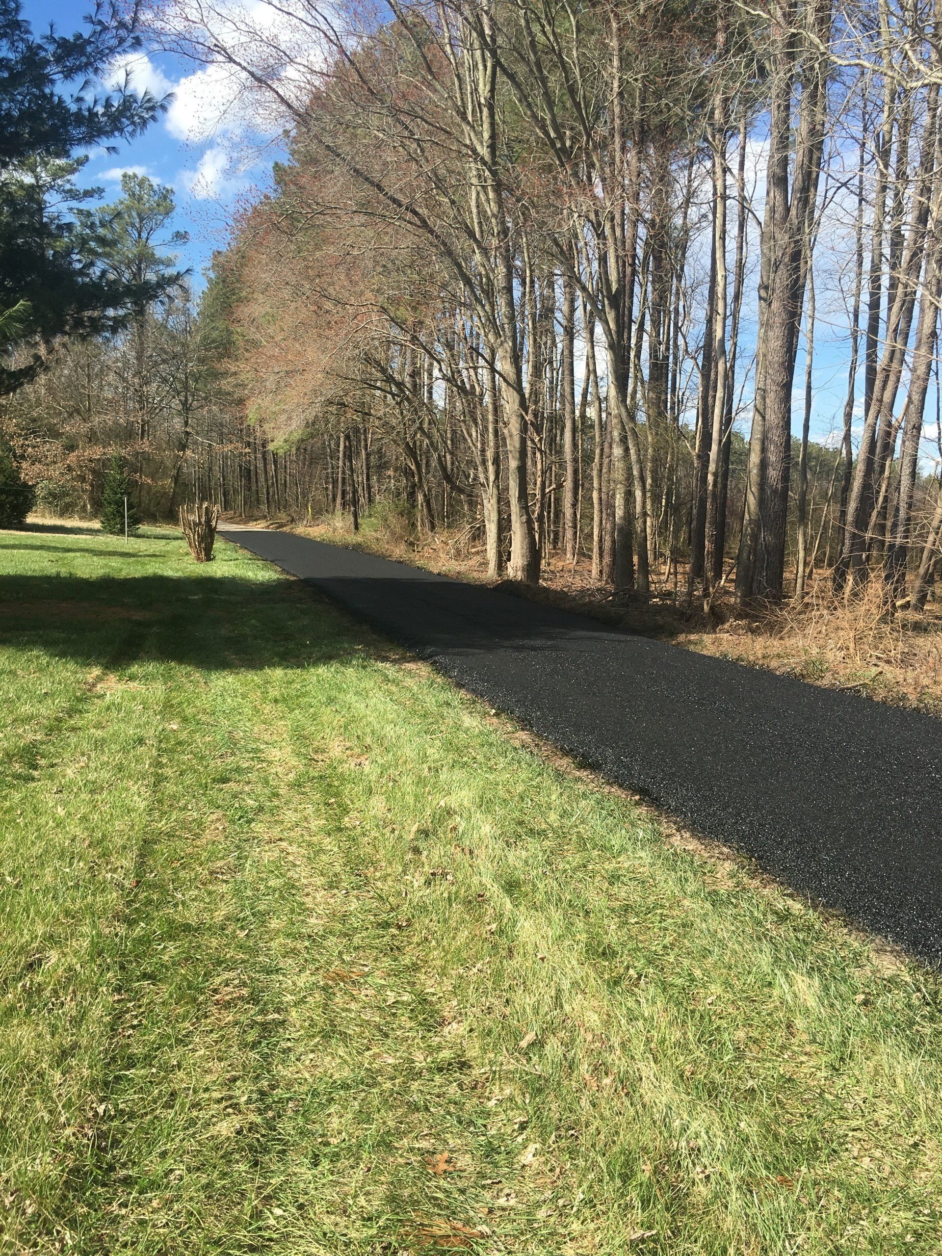 A gravel path lined with bare trees, running through a grassy area on a sunny day.