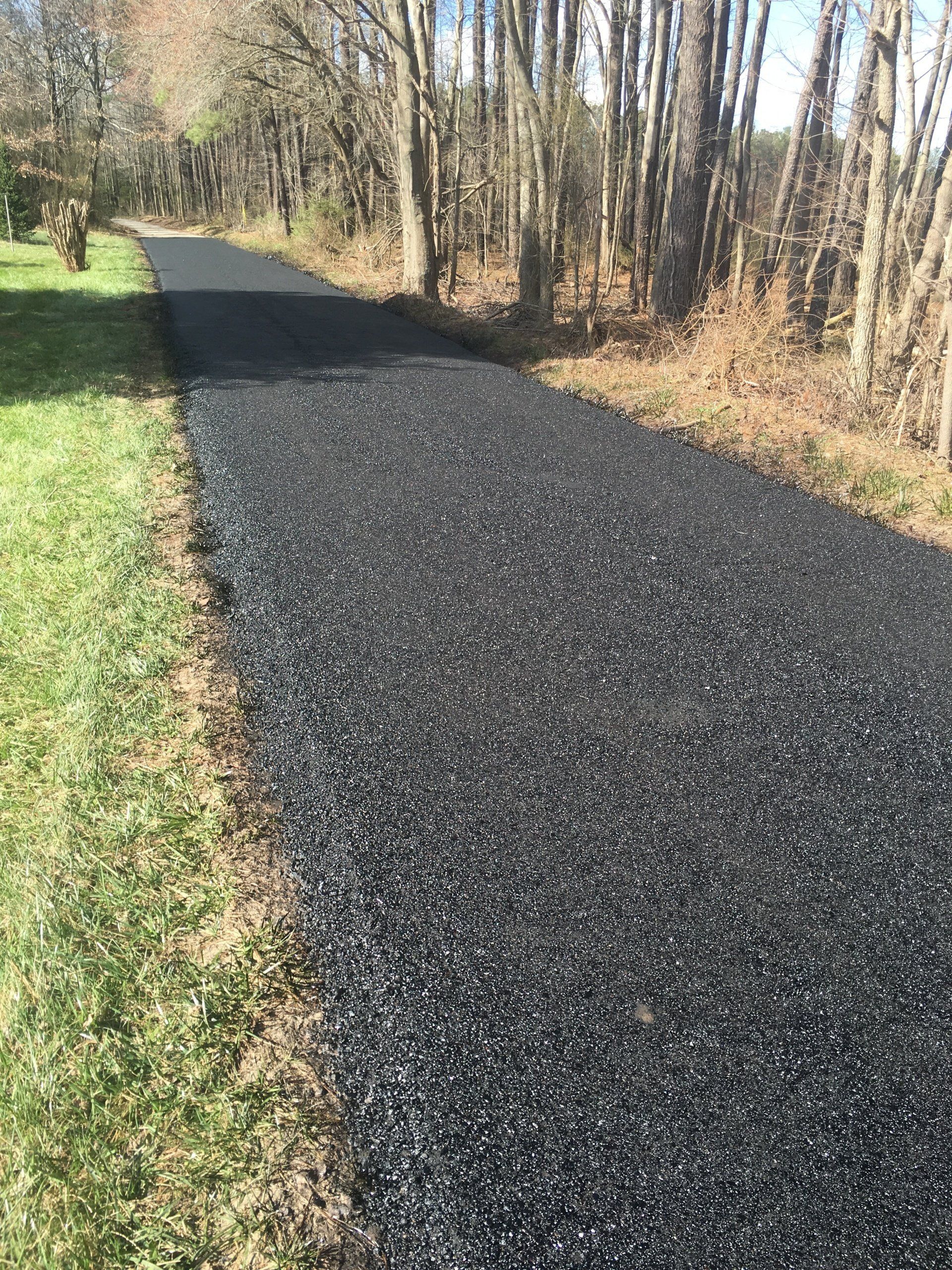 Newly paved black asphalt path through a wooded area with grass on either side.