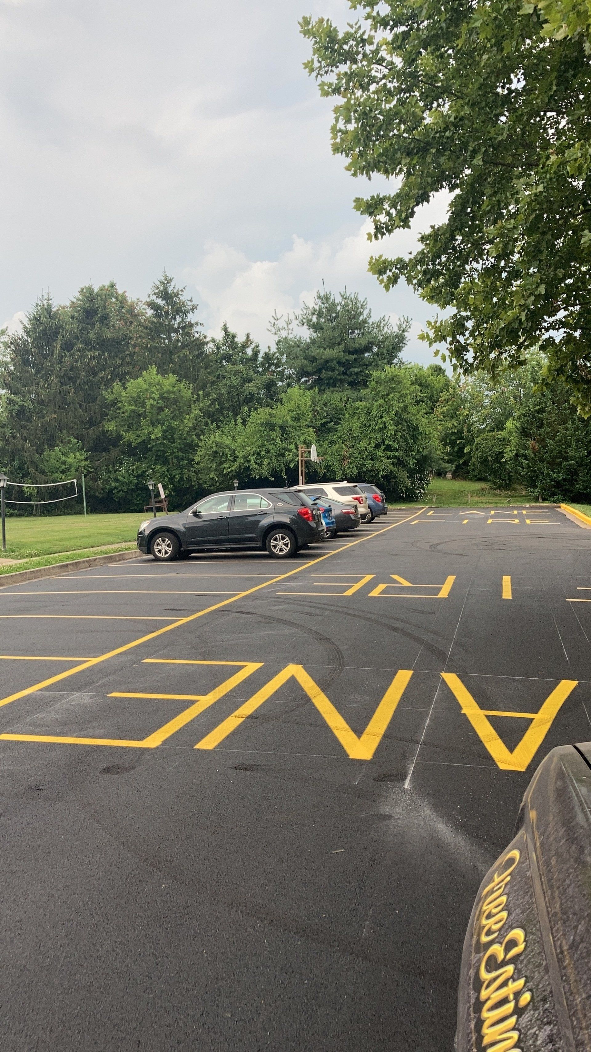 Parking lot with parked cars next to a grassy area and trees under a cloudy sky. 
