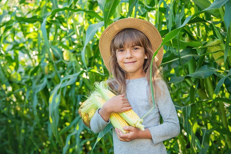 sostenibilità ambientale