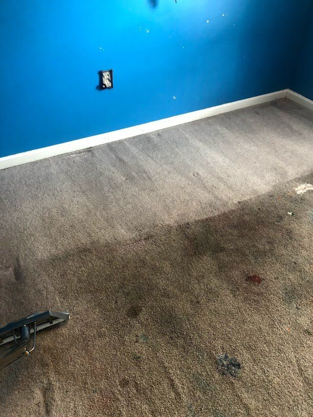 A Carpet With Mold