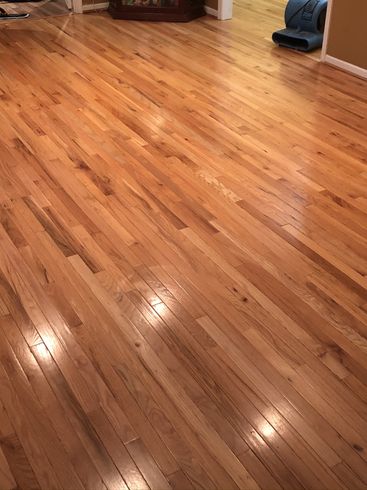 Wood floor, light brown with glossy finish reflecting light, in a room with a glimpse of a hallway and an air mover.