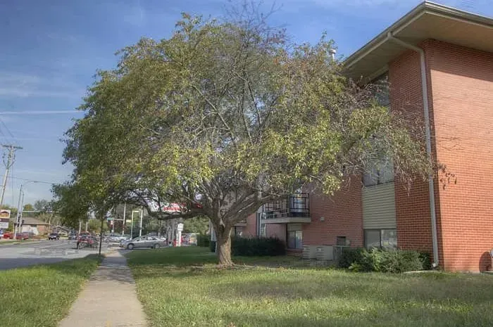 a brick building with a tree in front of it .