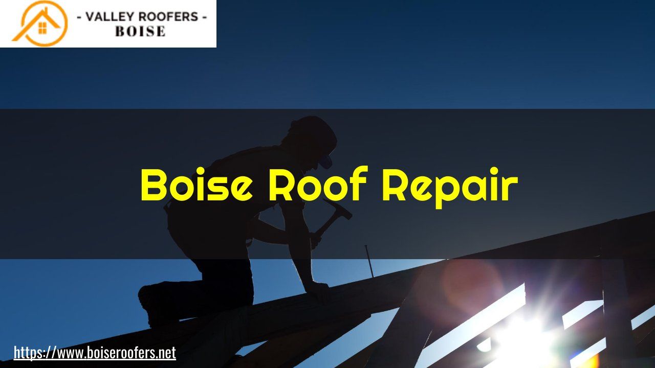 boise roofing companies