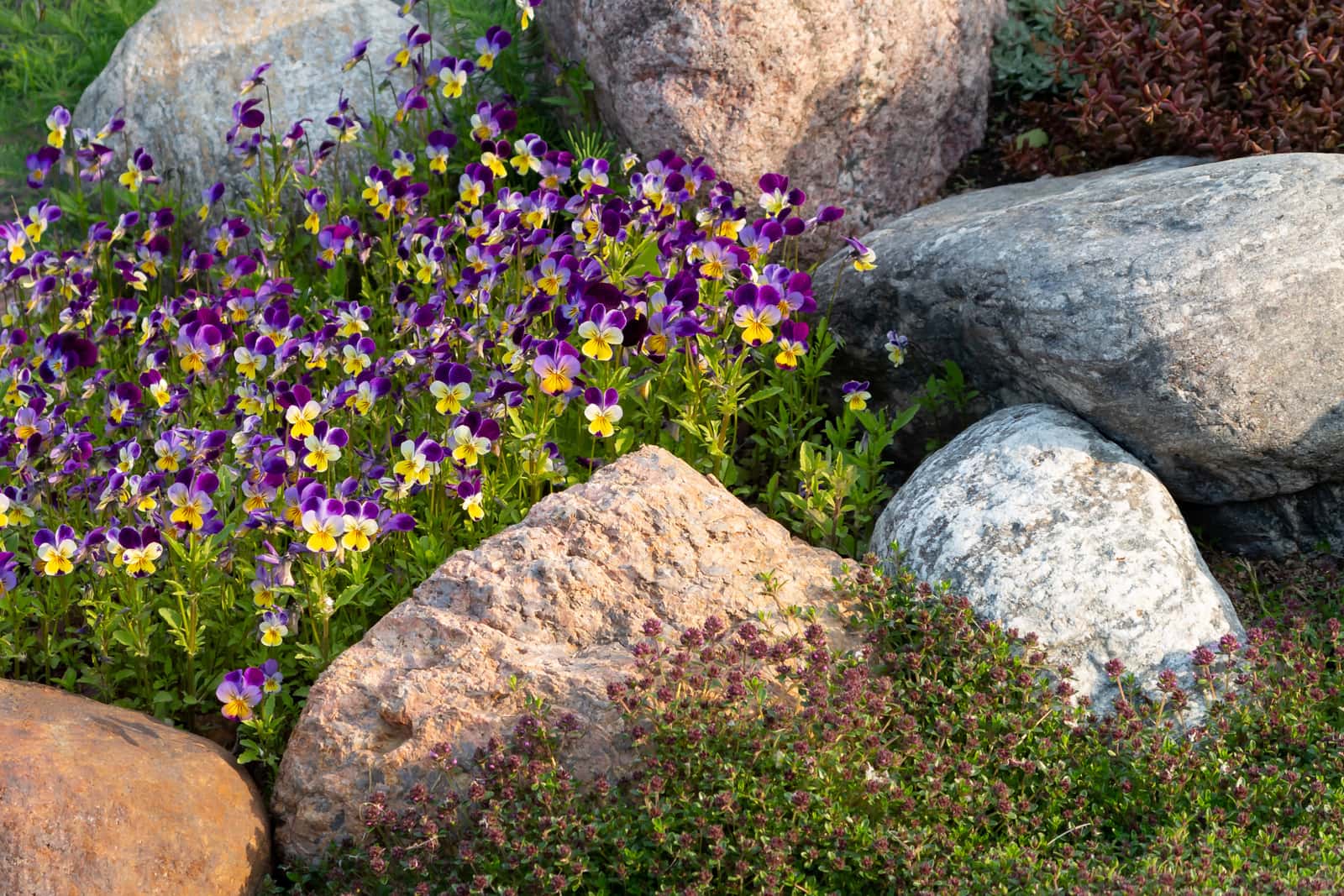 landscape rock and garden for fall landscaping