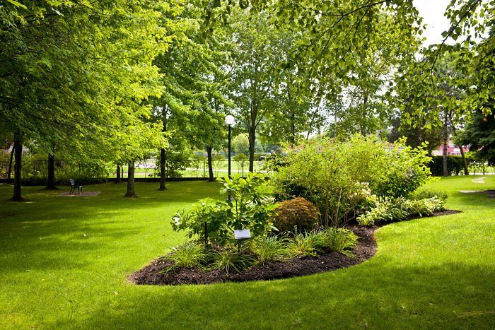 beautifully landscaped flower bed in the middle of a yard surrounded by trees in anderson indiana