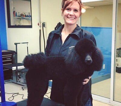 Black dog with groomer — Grooming in Monument, CO