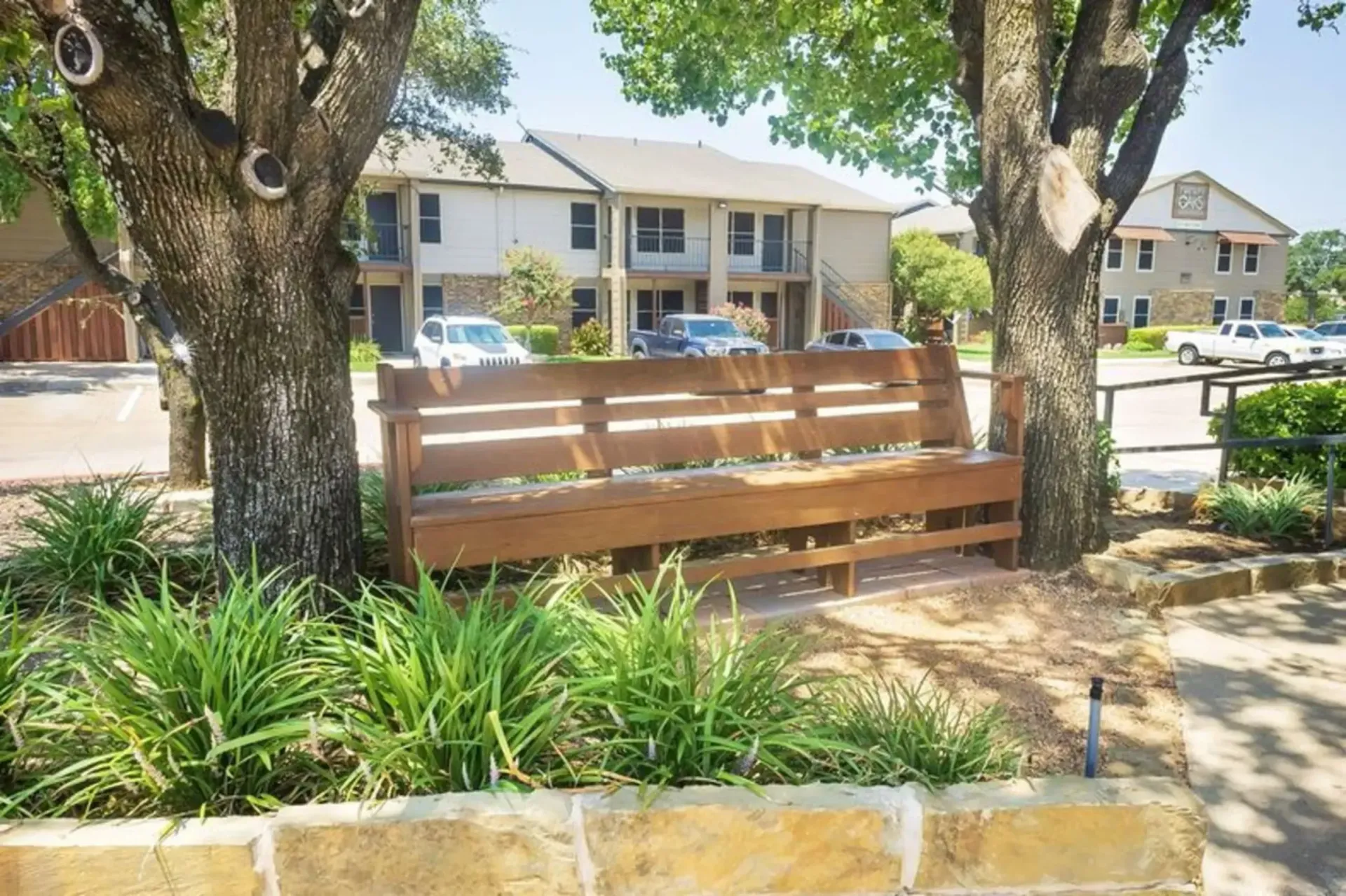 A wooden bench is sitting under a tree in a park.