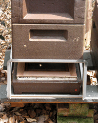 Einsetzen der Pollenfalle