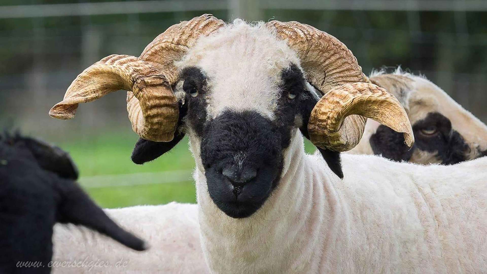 Vita Biosa Biozentrum WERNER SEIP