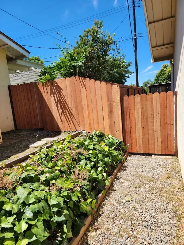 Wooden fence and gate next to a house, with a green plant bed in the foreground and blue sky above.