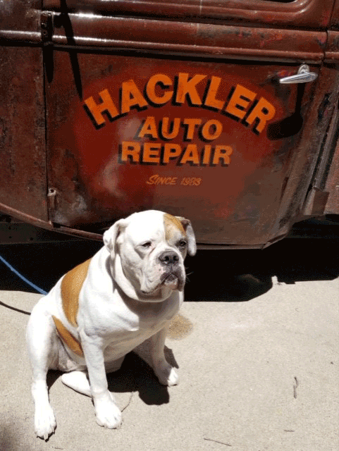Hackler Auto Repair mascot