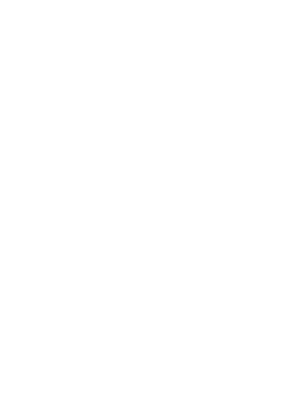 A logo for meso micro enterprise services of oregon