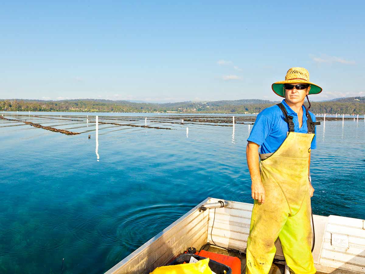 Stirling Cullenward from Stirling Oysters, Merimbula