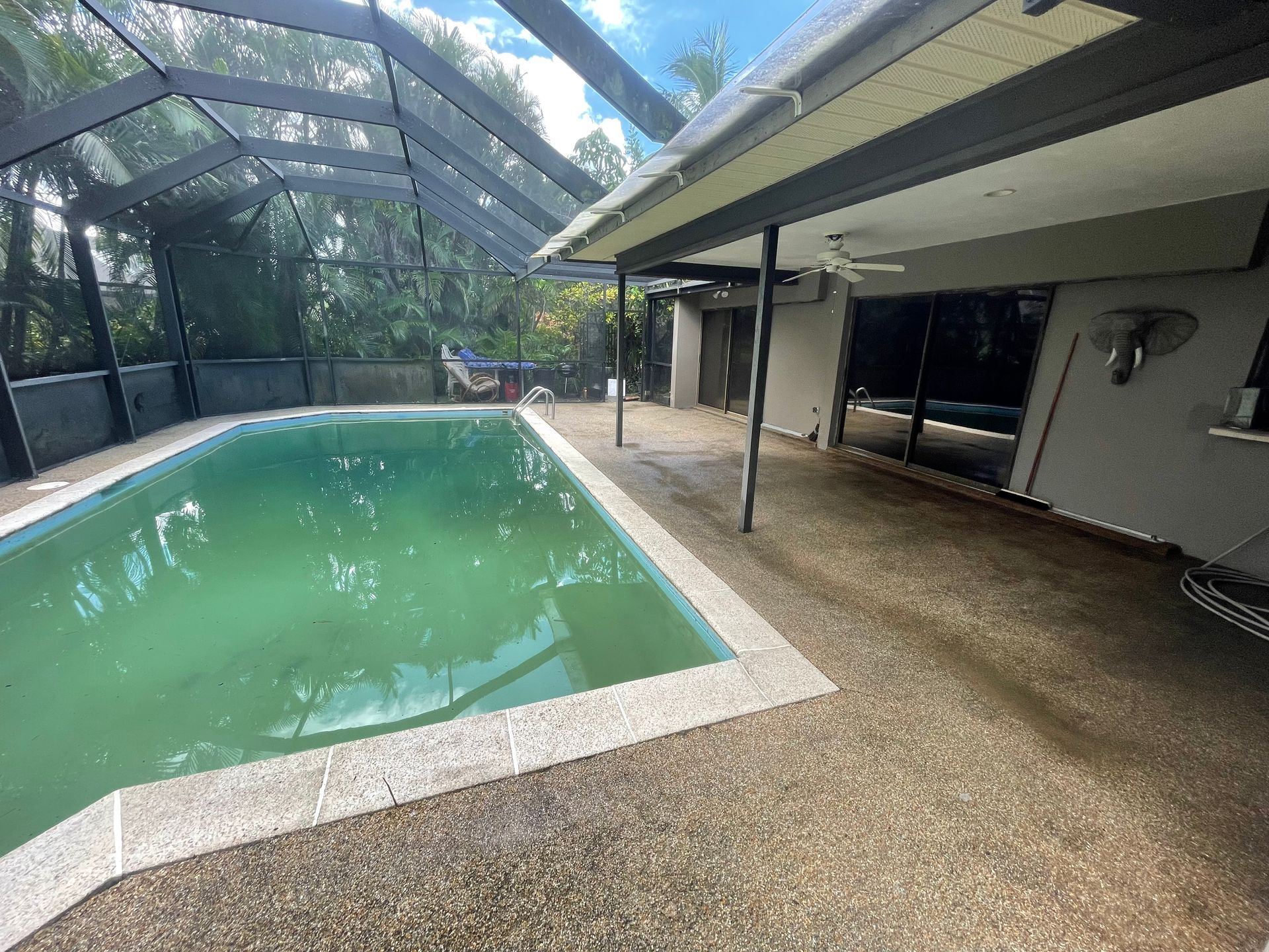 A swimming pool with green, cloudy water under a screen enclosure next to a house with a concrete patio.