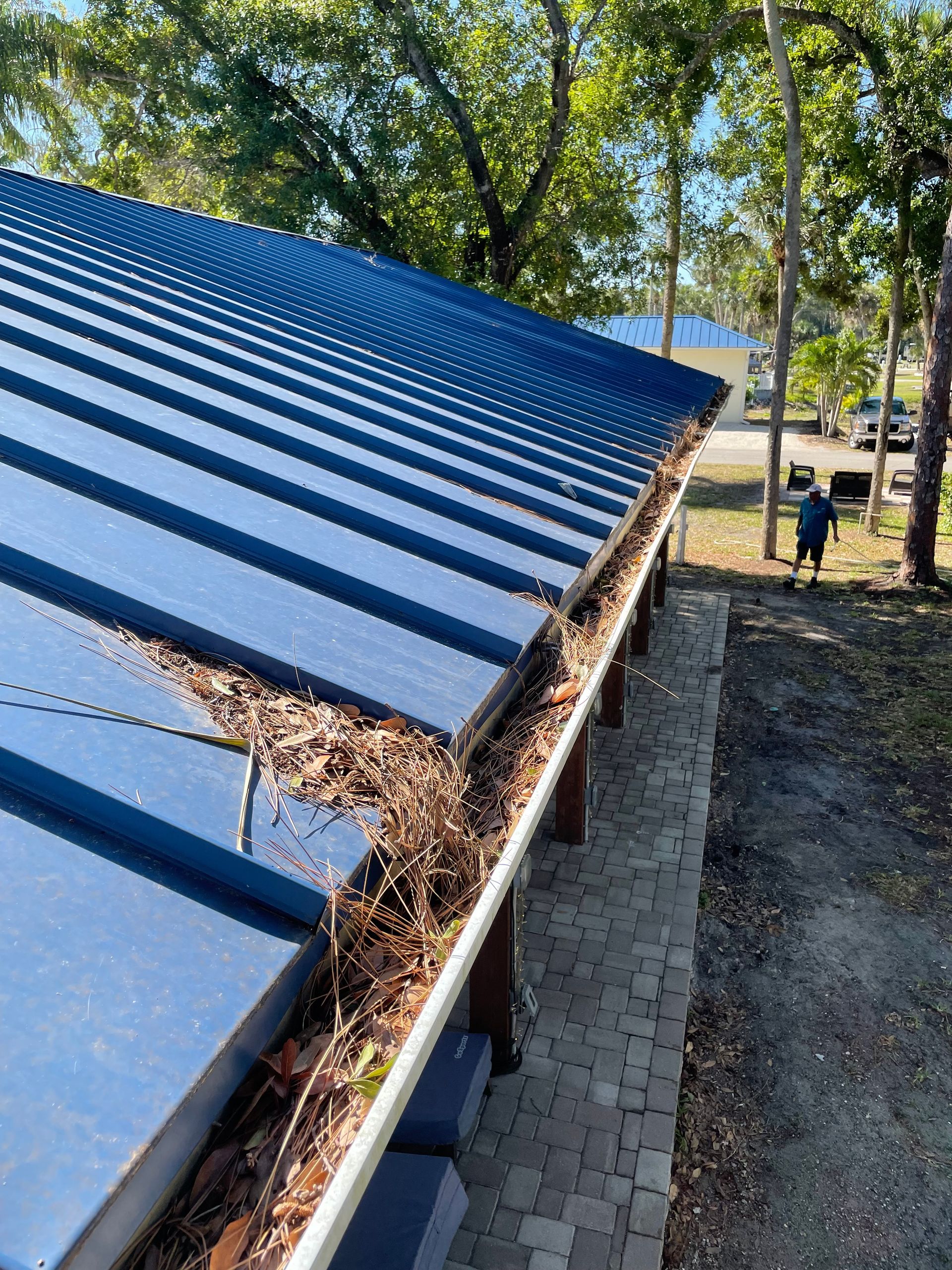 A blue metal roof with a gutter overflowing with dry leaves and debris, seen from an elevated angle.