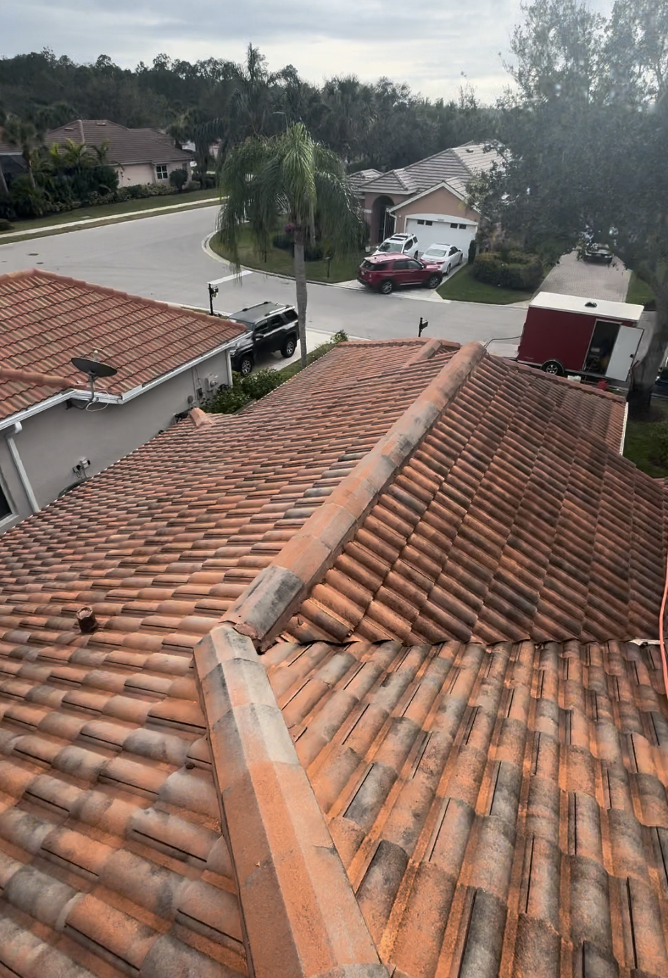An elevated view of a terracotta tiled roof overlooking a residential street with a palm tree, houses, and parked cars.