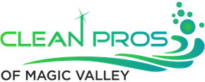 Clean Pros of Magic Valley logo with green text, swoosh, and stylized person icon