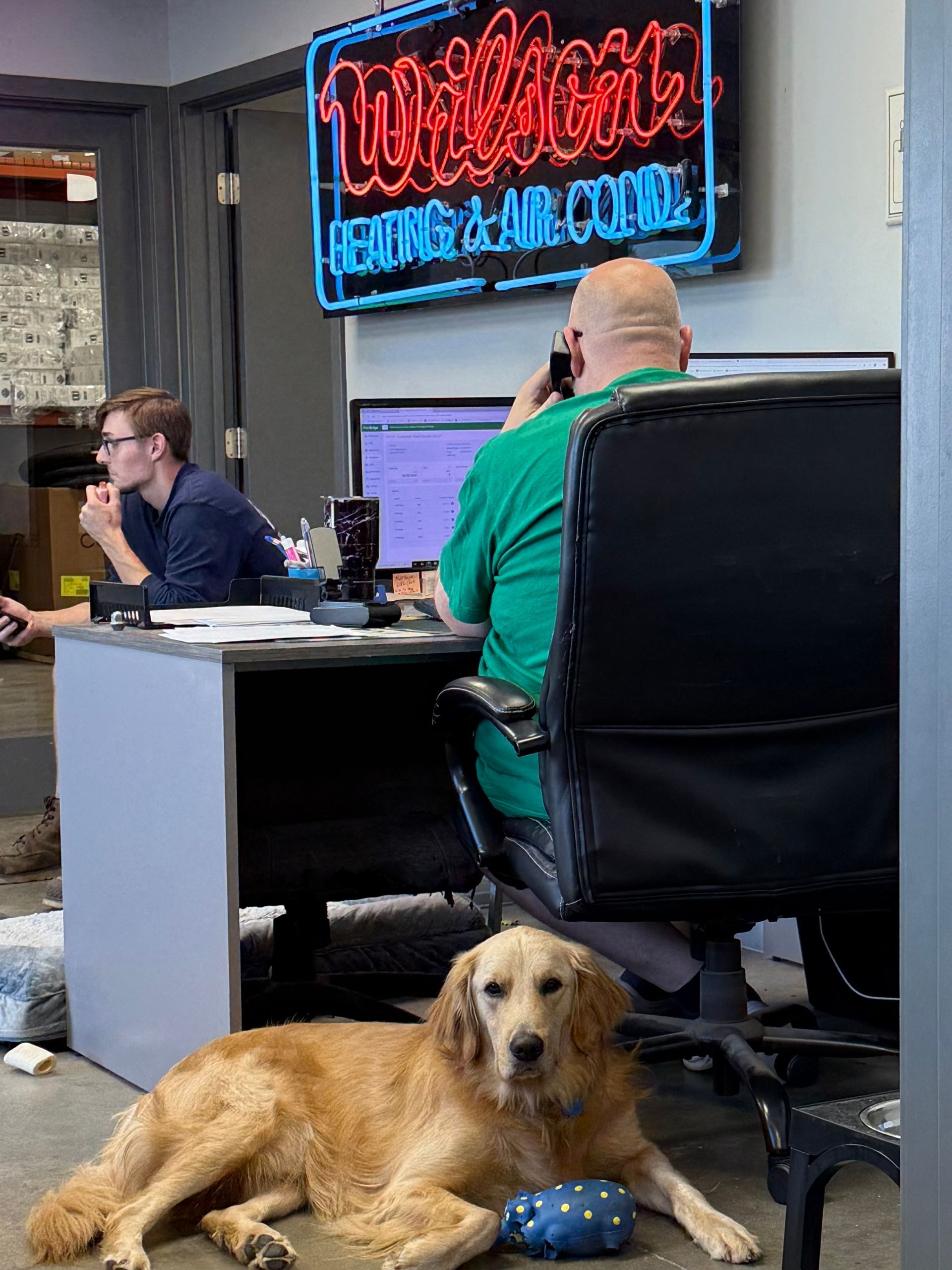 A golden retriever lies on the floor in an office beneath a neon sign, with two people working at desks in the background.