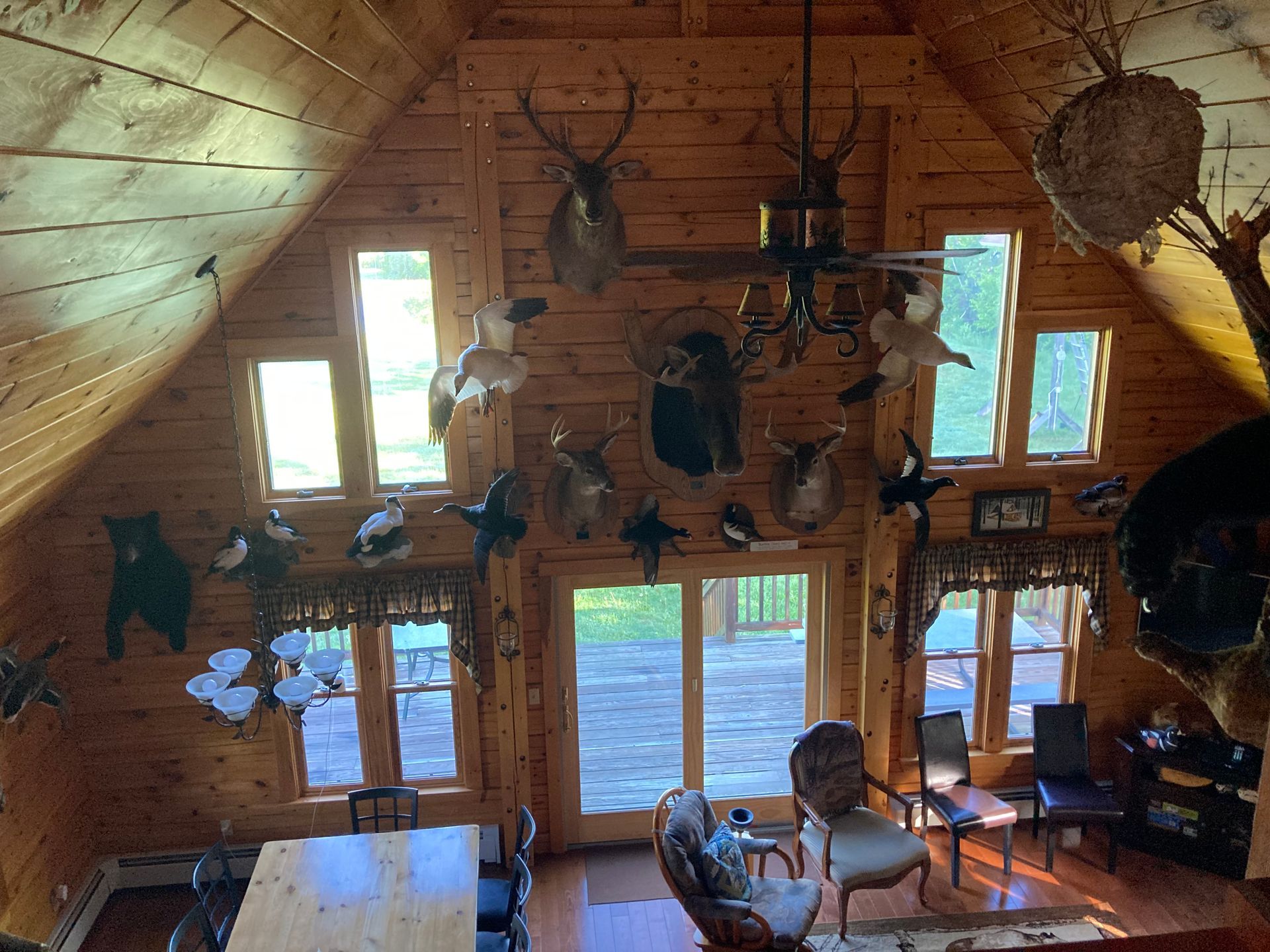 Living room in the sporting camp