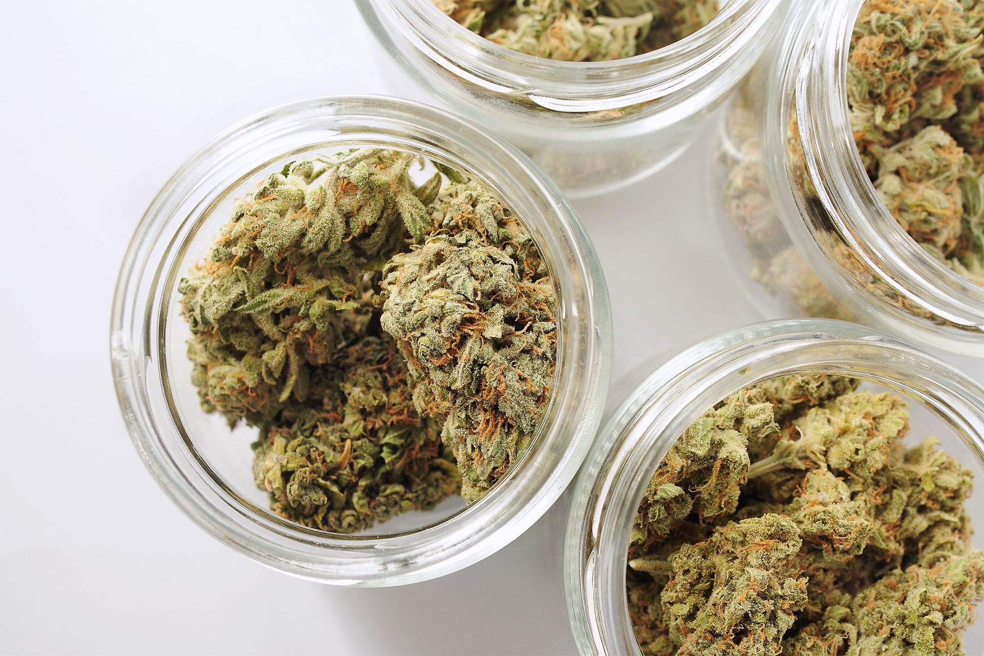 Glass jars filled with cannabis buds on a white surface.