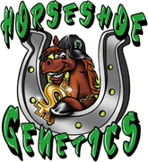Horseshoe Genetics