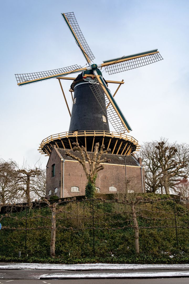 Woerdense molen de windhond. Foto van Stichting Leen Woerden.