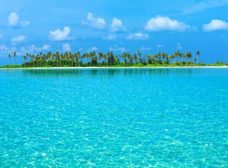 A small island with palm trees in the middle of the ocean.