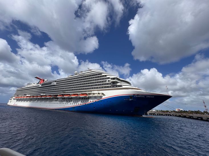 A woman wearing a hat and sunglasses is standing next to a fence.