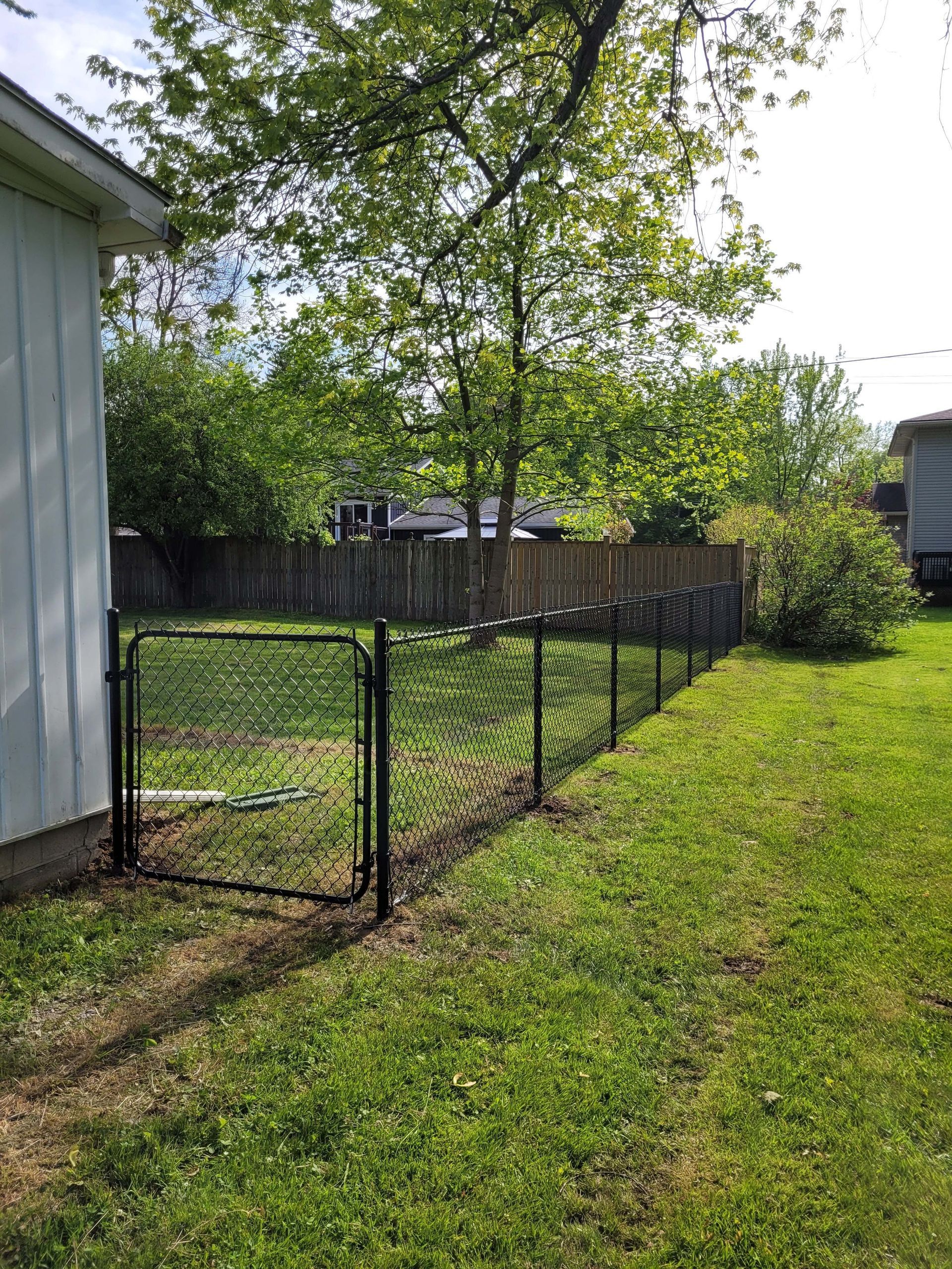 Backyard with a black chain-link fence and gate, green grass, and a building.