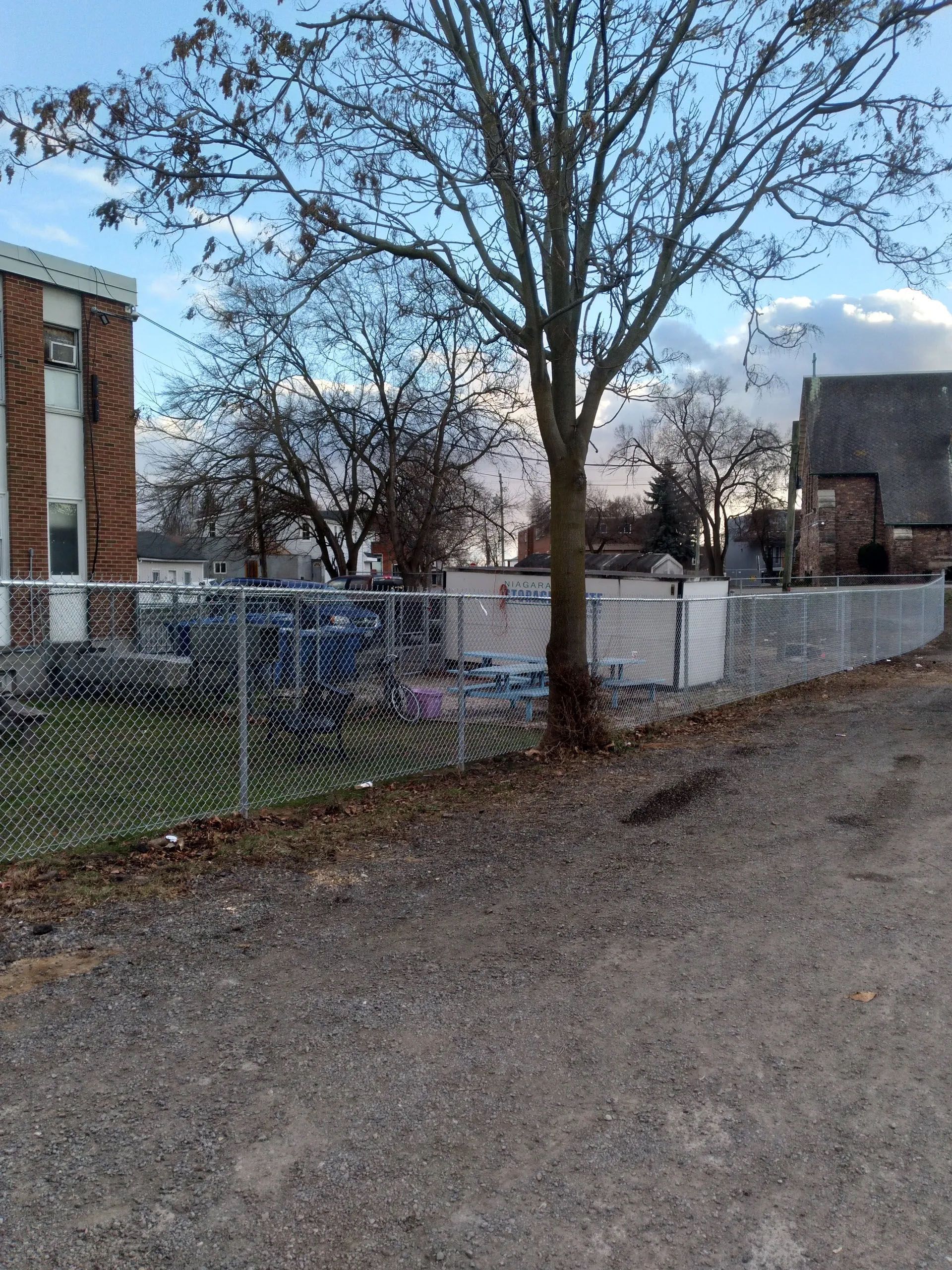A chain-link fence surrounds a yard with a tree in front. A building is to the left.