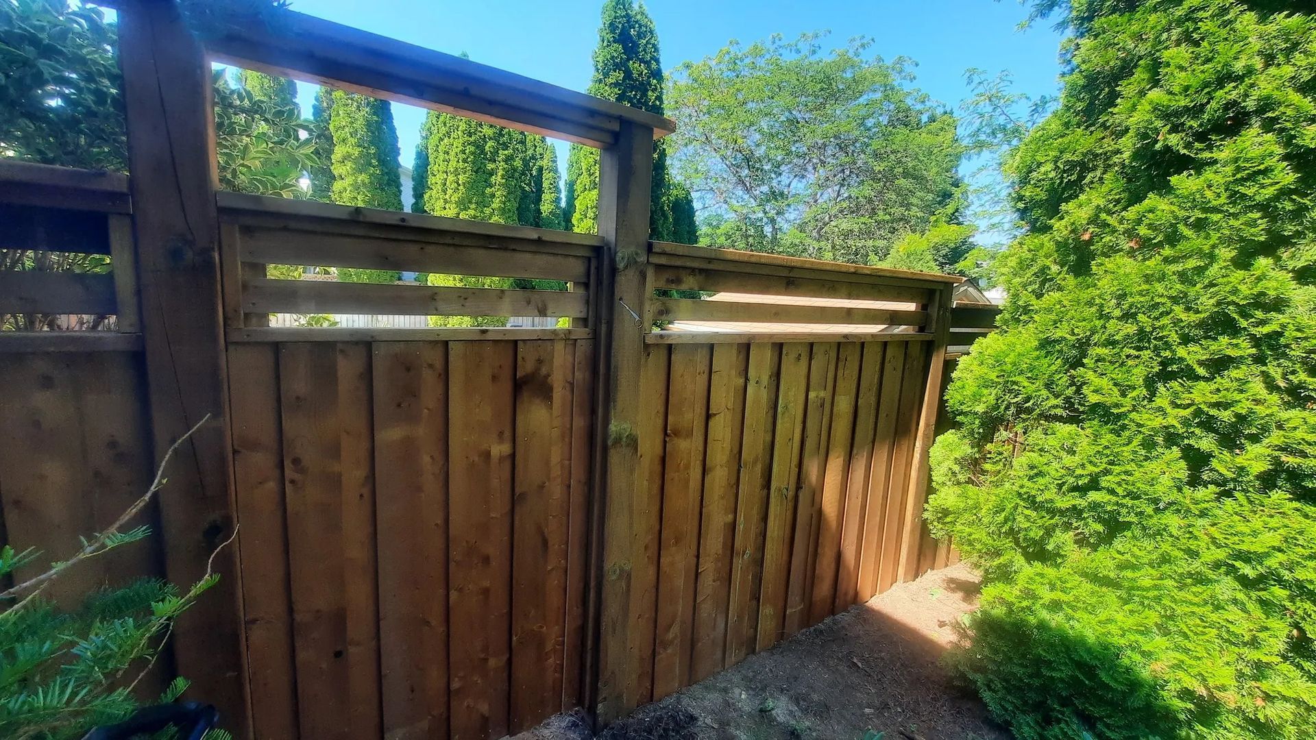 Wooden gate in a brown fence, partially open with green foliage on each side and a bright blue sky.